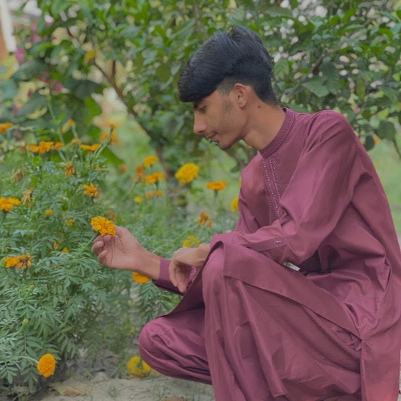 Apka Ammar
