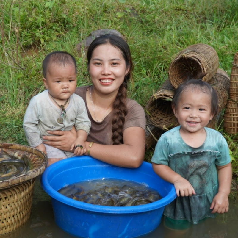 Chuc Thi Duong harvest