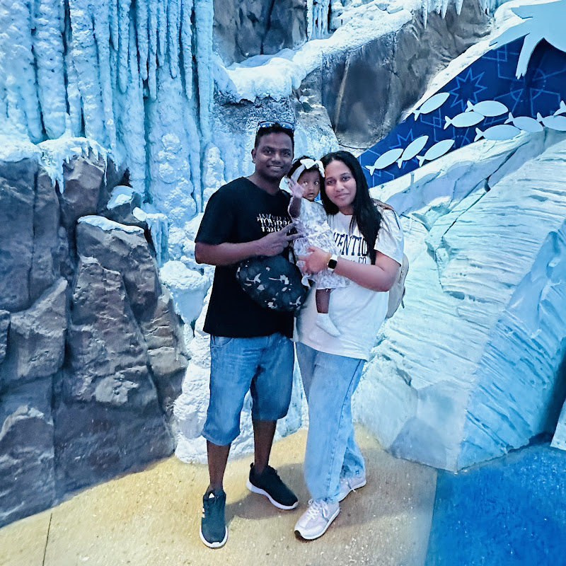 ANDYJune Travel Vlogs