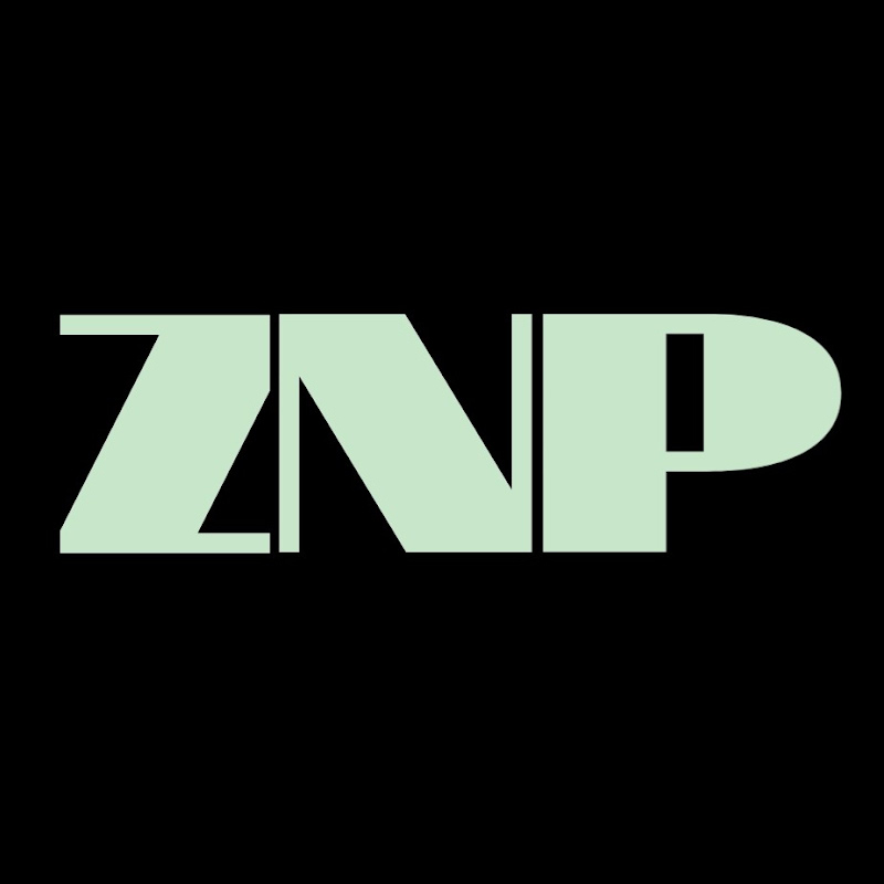 Zeplin Nanda Pratama