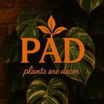 Plants Are Decor
