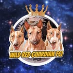 Wild Red Guardian FCI Kennel
