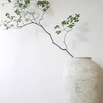 Chiangmai_home_pottery