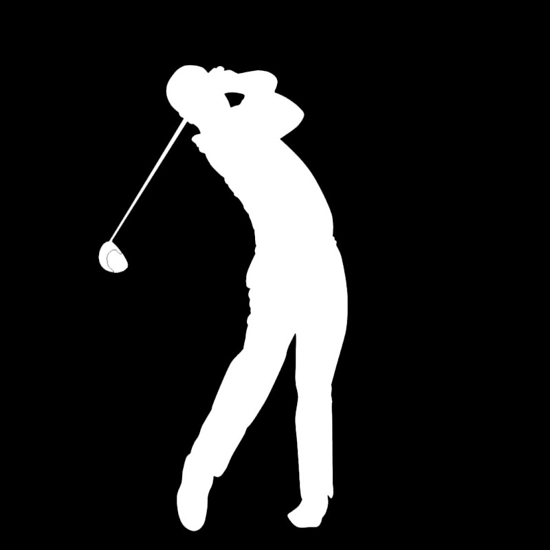 Shaan Tahir Golf
