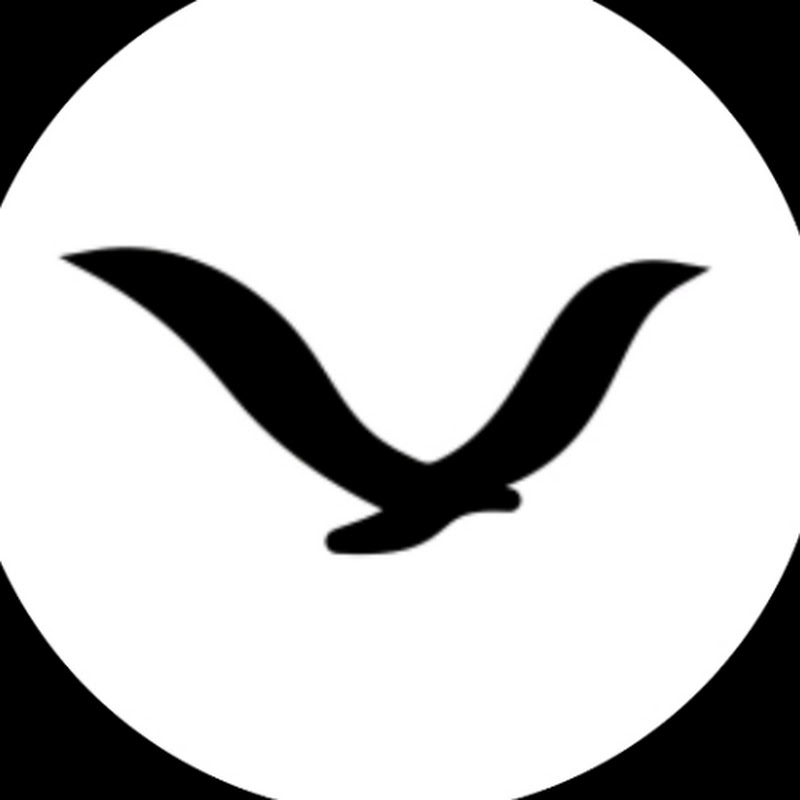 FLLY'S FOOTBALL