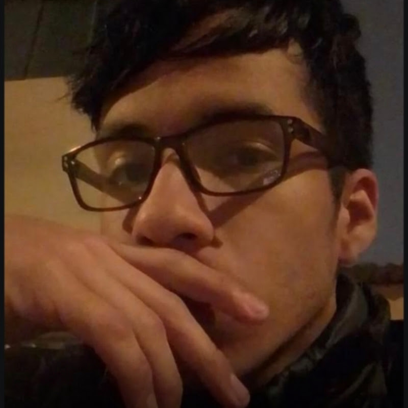 MrSnake