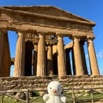 こみ🐦‍🔥KOMI