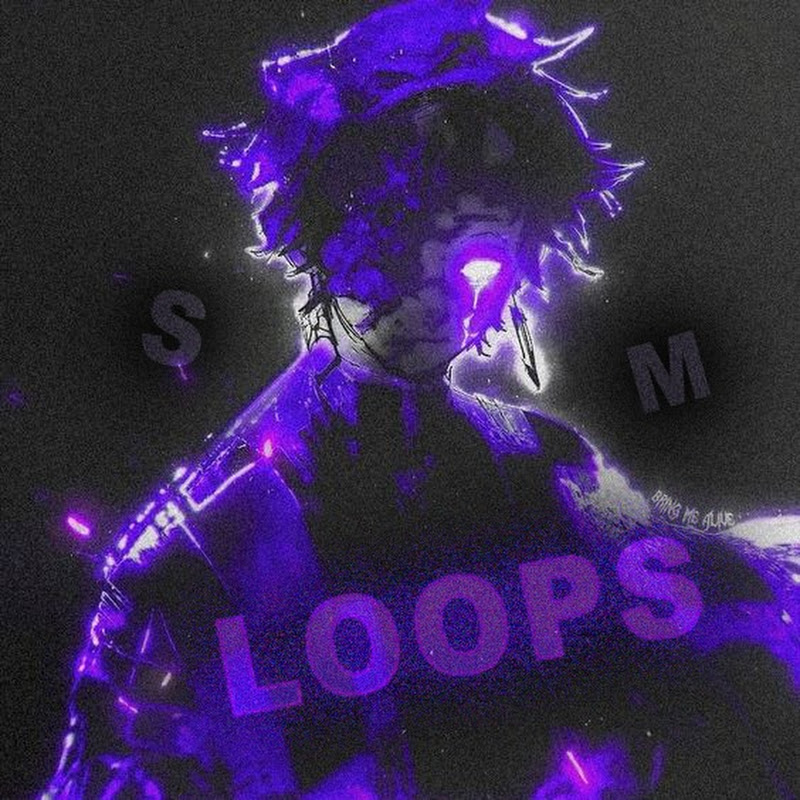 SM Loops 滅