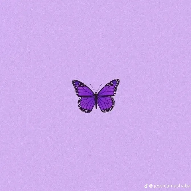 -Anushka🦋