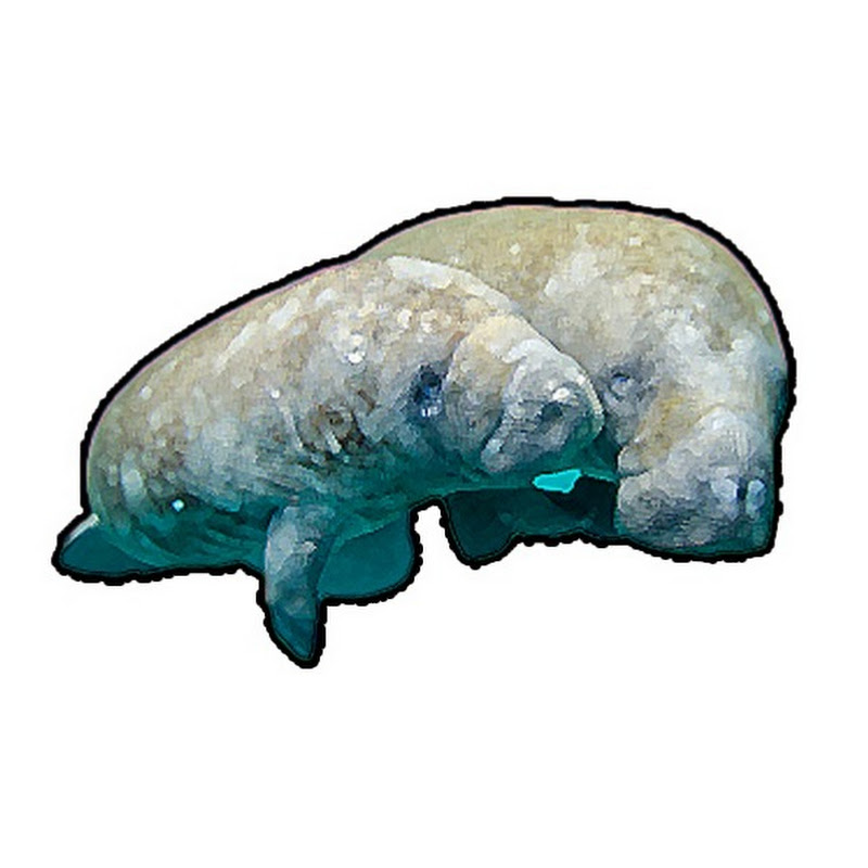 아빠매너티의 아픈손가락 기업분석