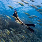 𝓢𝓾𝓷𝓼𝓱𝓲𝓷𝓮☀️