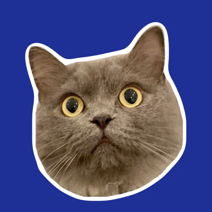 BillyBoy Cat