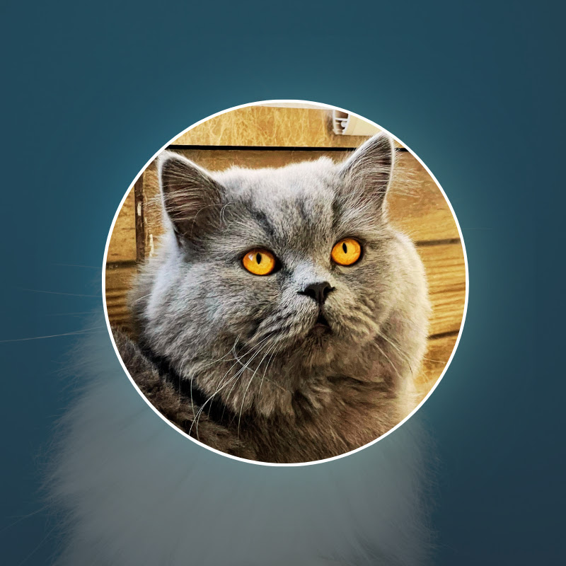 Leoscuk