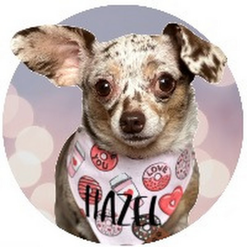 Hazel Theminiwiener