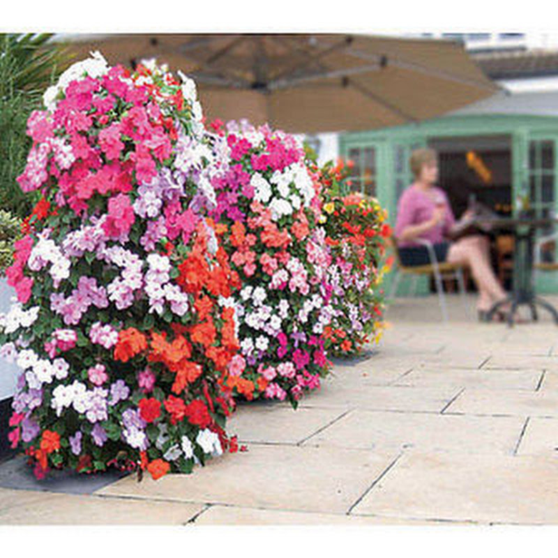 TheFlowerTower