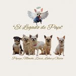 El Legado de Papi ♡