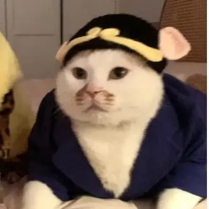 Zhu Bajie