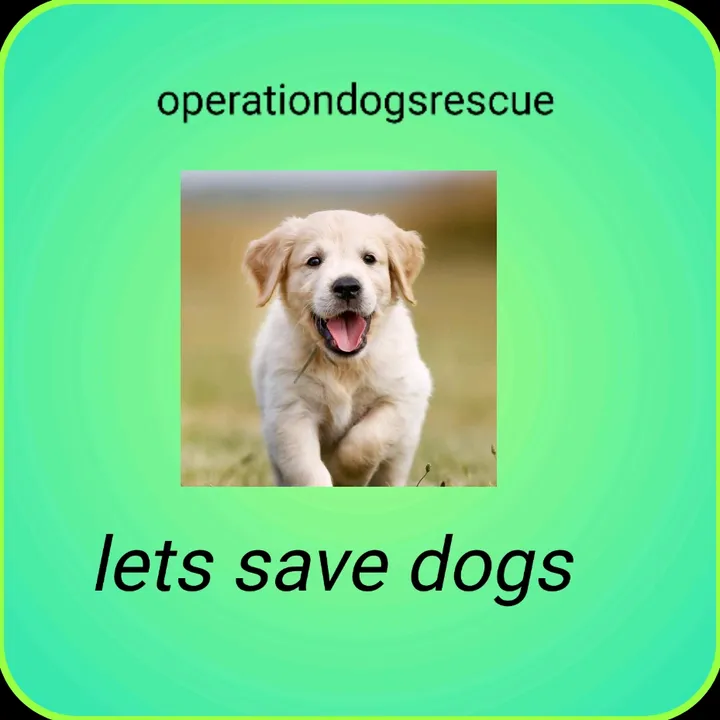 operation _dogs_rescue✅️