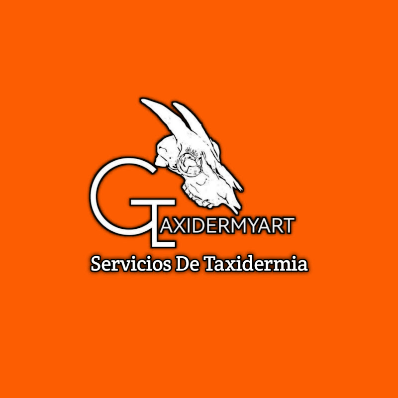 CzTaxidermyart