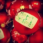 🎄 Christmas lover