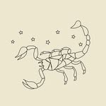 S C O R P I O N I I D A • Accesorios