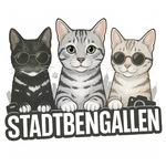 Gina Kadow mit 4 Bengalen | Ostsee | Catfluencer 🐾