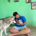 HOW'Z MY DOG | Dog Boarding & Training