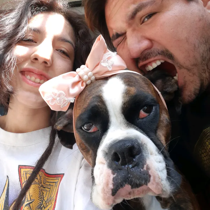 Familia Bóxer