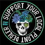 ZIYA BLUE