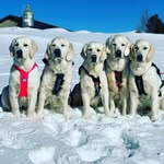 ᴋᴇɴɴᴇʟ ᴢᴇᴅɴᴏʀᴀ 🐾