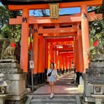 Japan Travel & Life Guide 🇯🇵