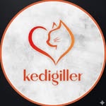 Kedigiller