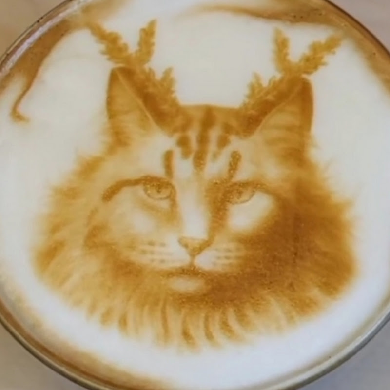Barista ahmad🌿باريستا احمد