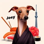 Joey the iggy🐶