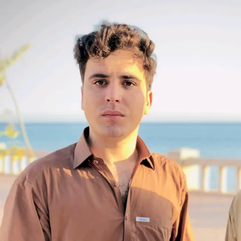 MALAK SIYAB gull
