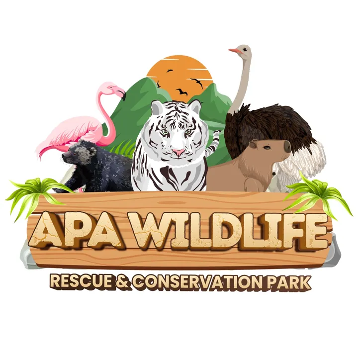 APA Wildlife