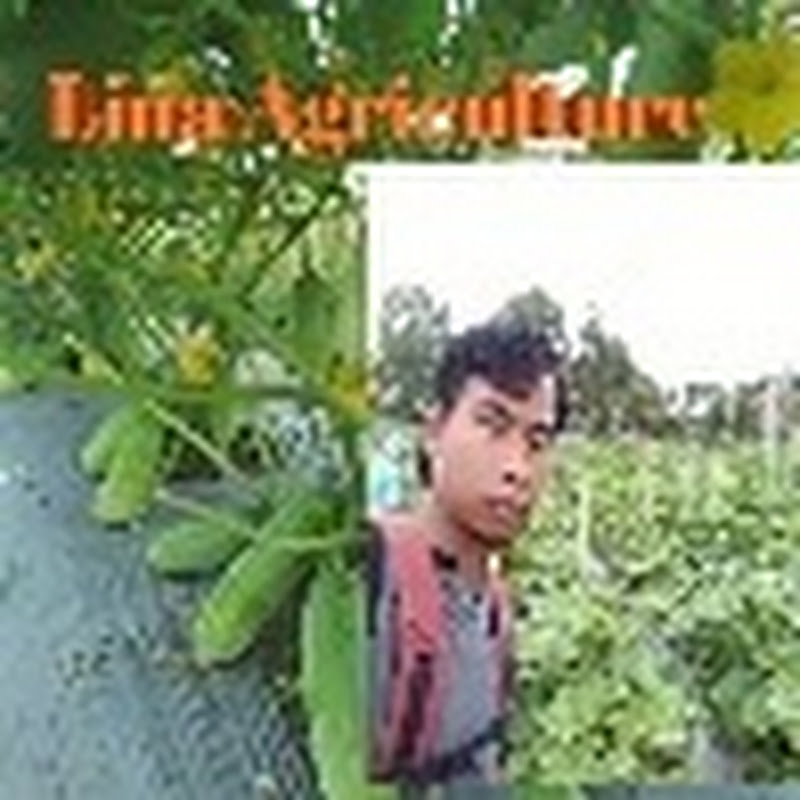 Ka Lina Agriculture