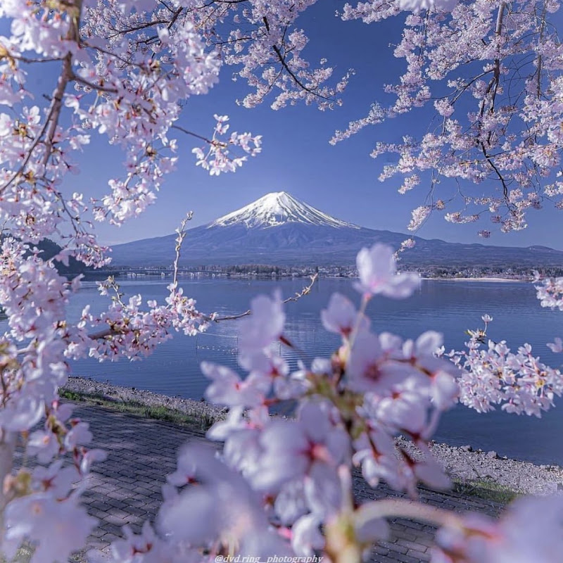 Magical Moments