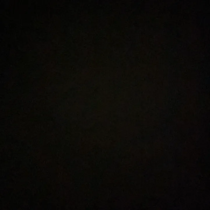clip8333