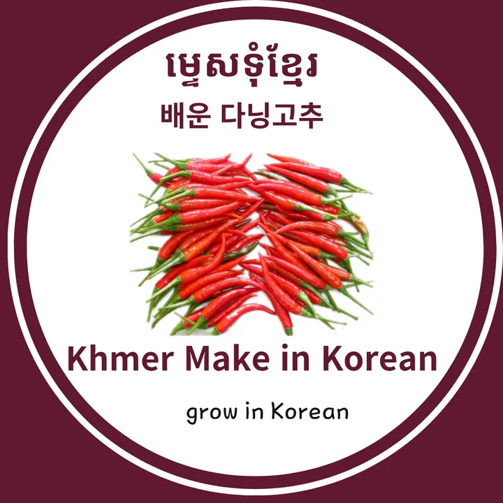 제주캄보디아농장🇰🇭🇰🇷