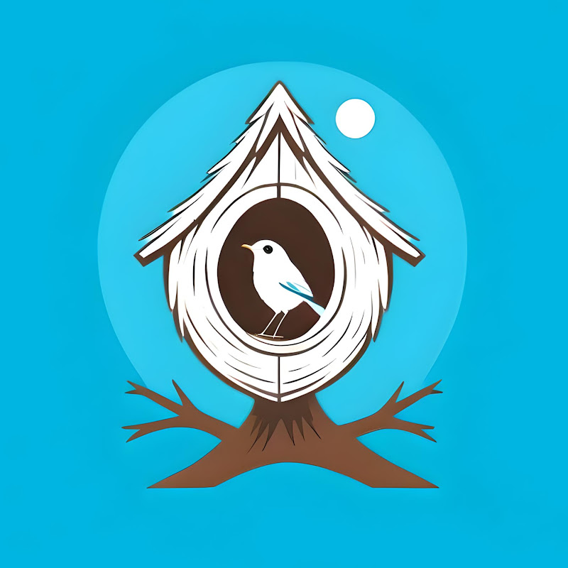 Robin Nest Relaxation
