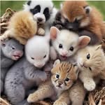 もふにゃんチャンネル