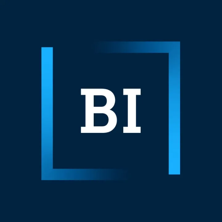 bibusinessinternational