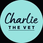 Charlie The Vet