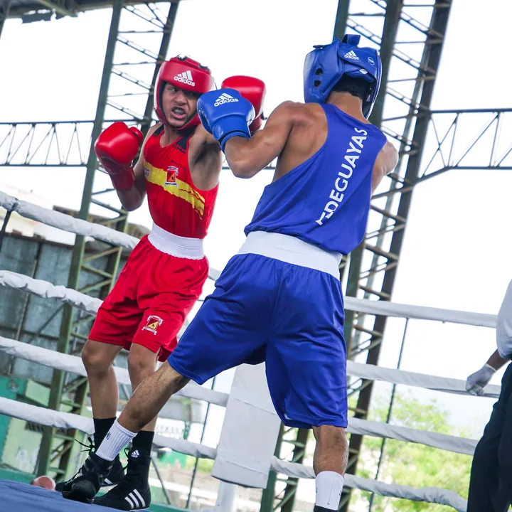 Spider boxeo🕷️🥊