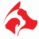 Pets & Vets Lahore
