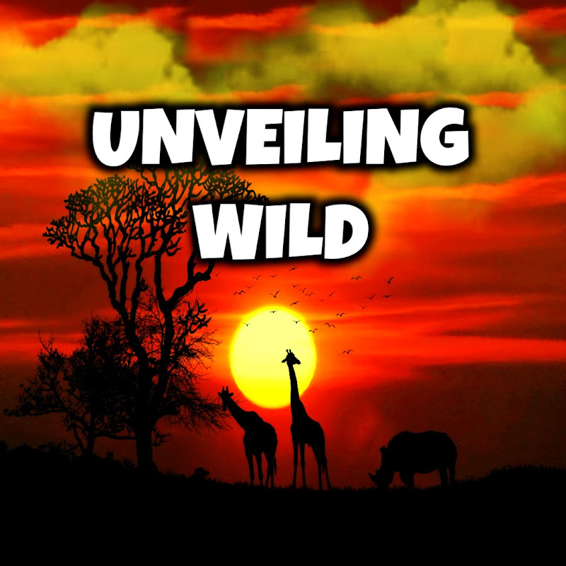 Unveiling Wild