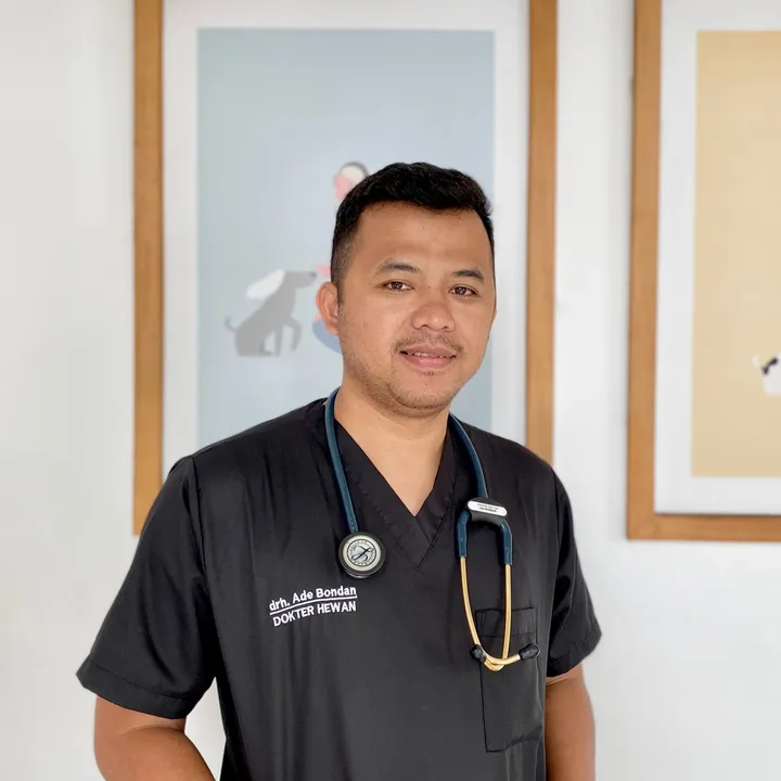 drh.adebondan