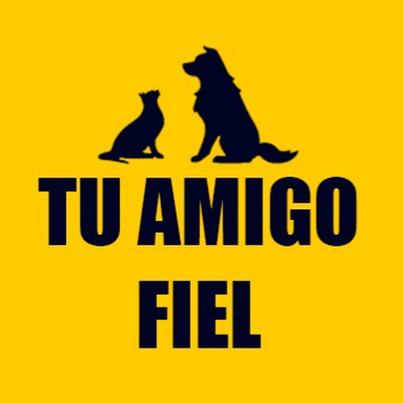 Tu Amigo Fiel 🐱🐶