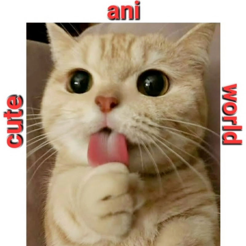 Cute Ani Planet 